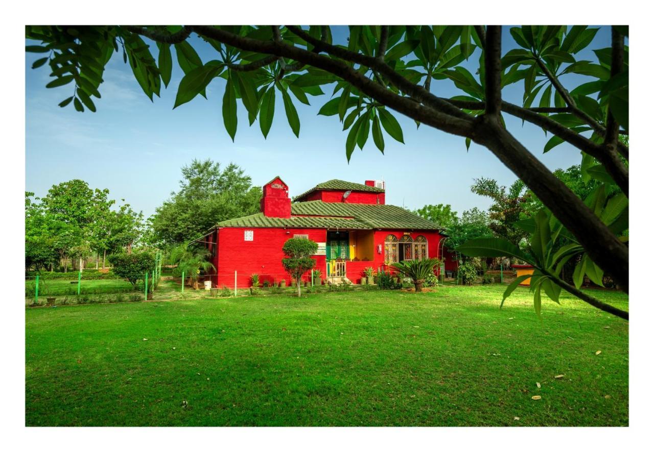 An Authentic Village Farm Jhansi