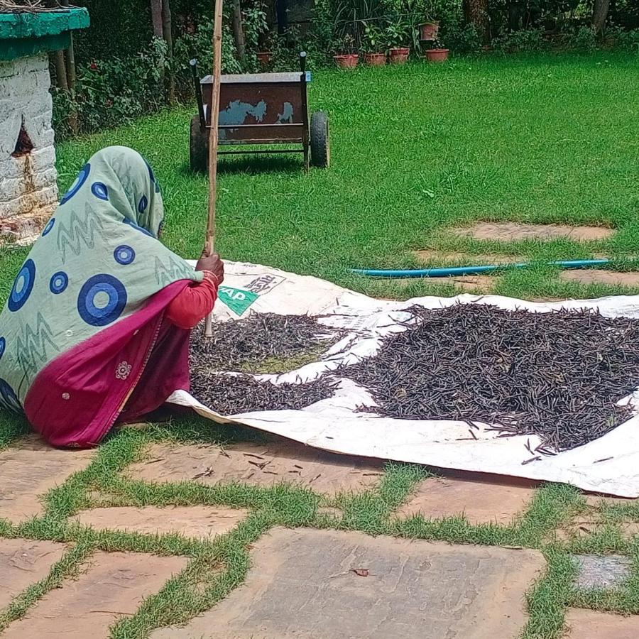 An Authentic Village Farm