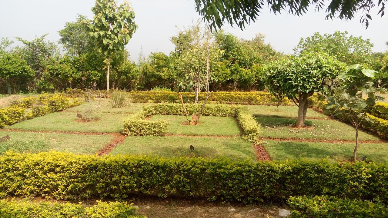An Authentic Village Farm Country house Jhansi