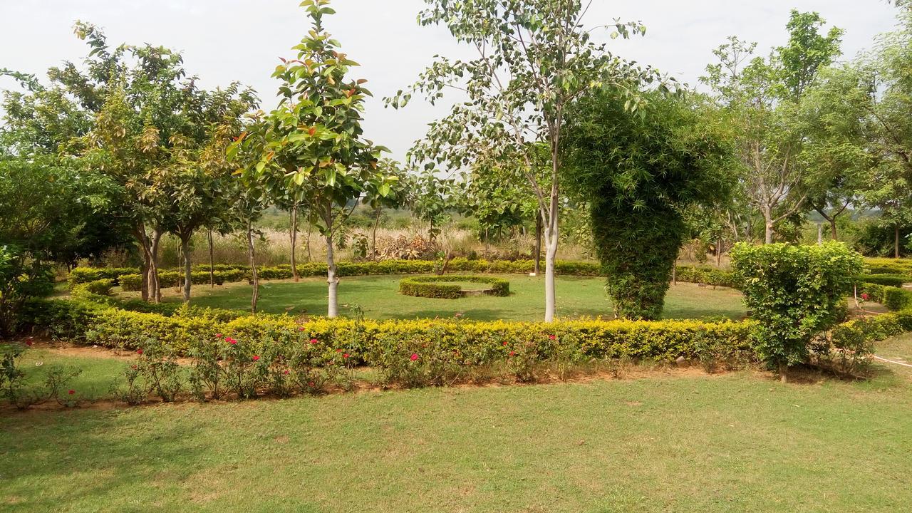 An Authentic Village Farm *