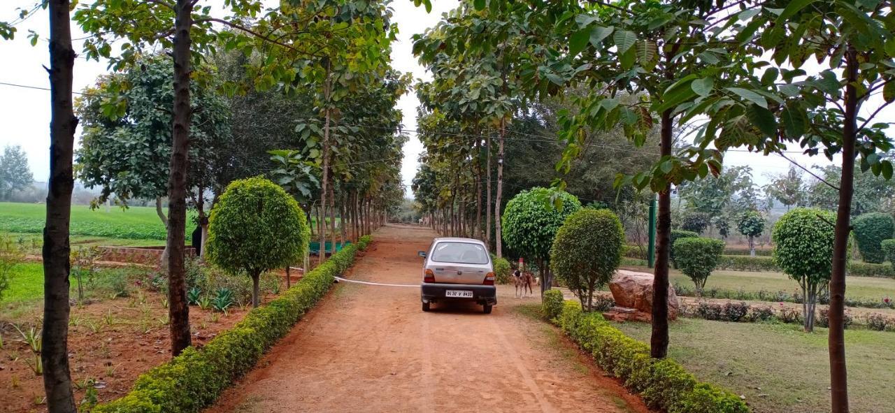 An Authentic Village Farm Jhansi